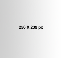 250 X 239 Ad