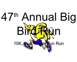 Big Bird Run